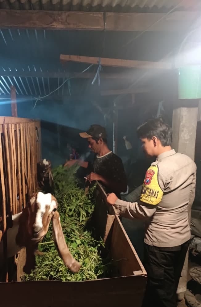 Bhabinkamtibmas Desa Juwet Pantau Kesehatan dan Keamanan Ternak Kambing Warga