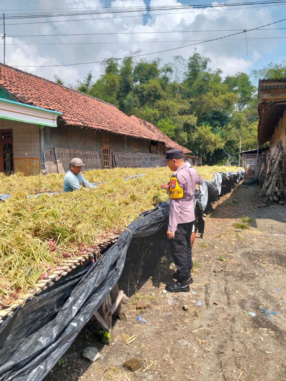 Pantau Panen Bawang Merah, Bhabinkamtibmas Nglinggo Ingatkan Petani Soal Keamanan Kendaraan