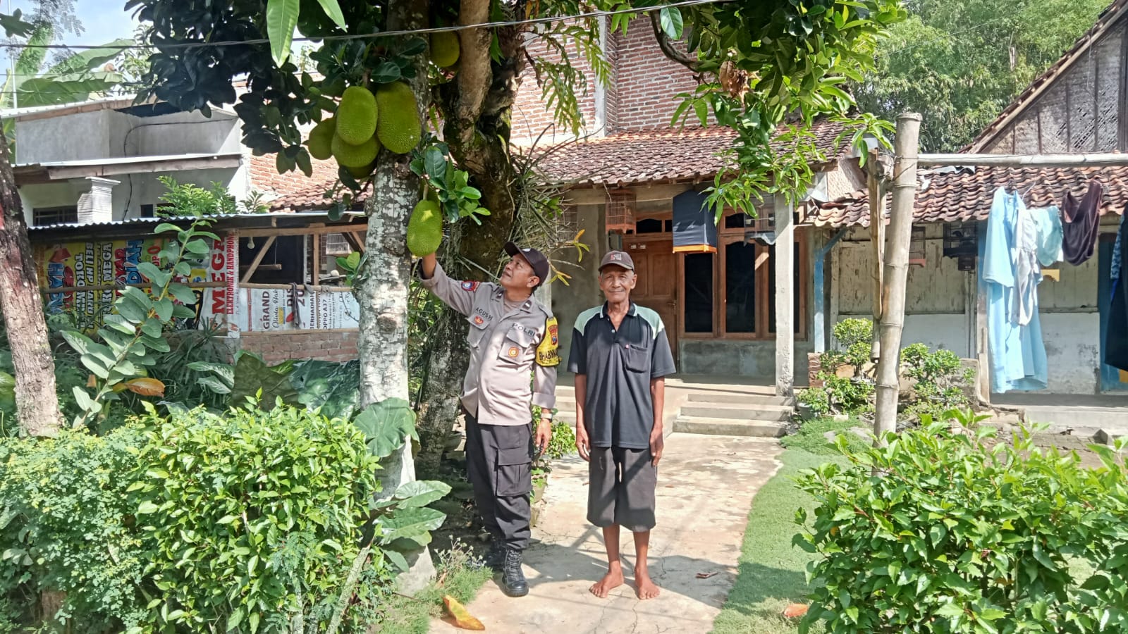 Pekarangan Warga Sonopatik Disulap Jadi Kebun Sayur dan Buah Produktif