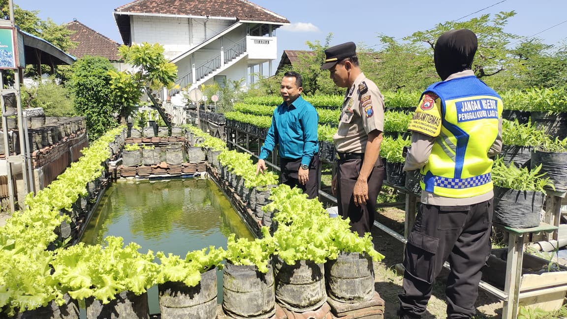 Selada, Kangkung dan Kolam Ikan Jadi Kombinasi P2B Produktif di Tanjunganom