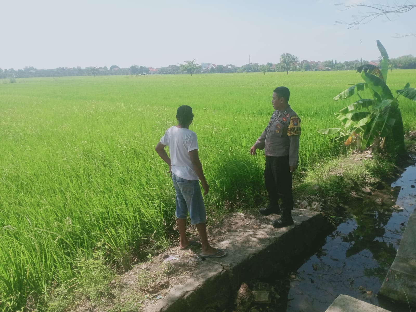 Sambangi Petani, Bhabinkamtibmas Kelurahan Cangkringan Dukung Ketahanan Pangan dan Swasembada Pangan Nasional