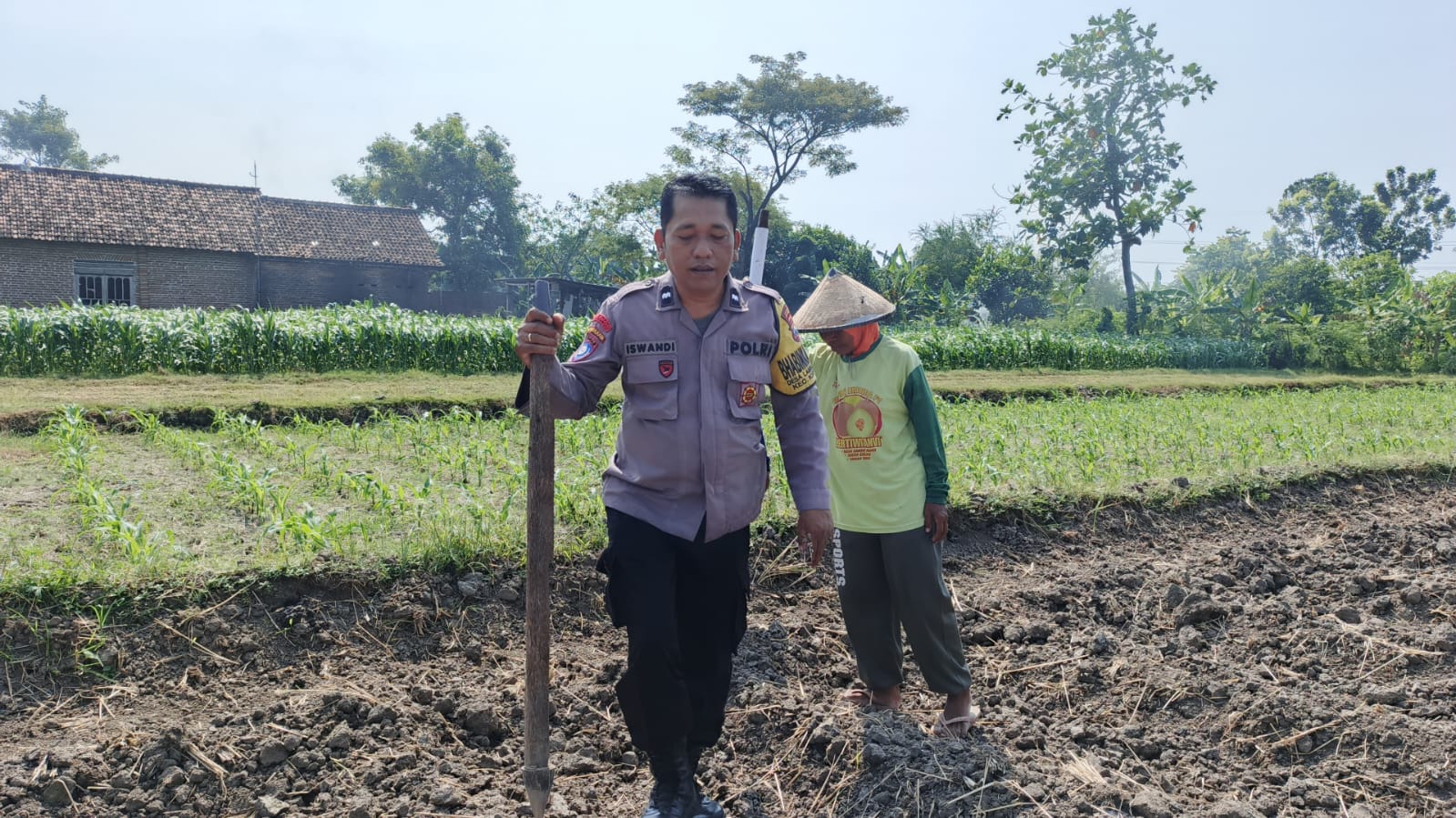 Dukung Ketahanan Pangan Nasional, Bhabinkamtibmas Desa Lambang Kuning Pantau Lahan Jagung Warga Binaan