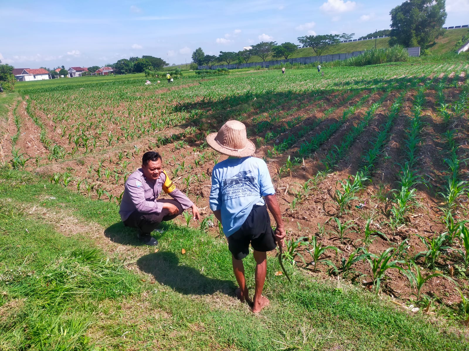 Cek Ketersediaan Pupuk, Bhabinkamtibmas Garu Kawal Produktivitas Pertanian Warga