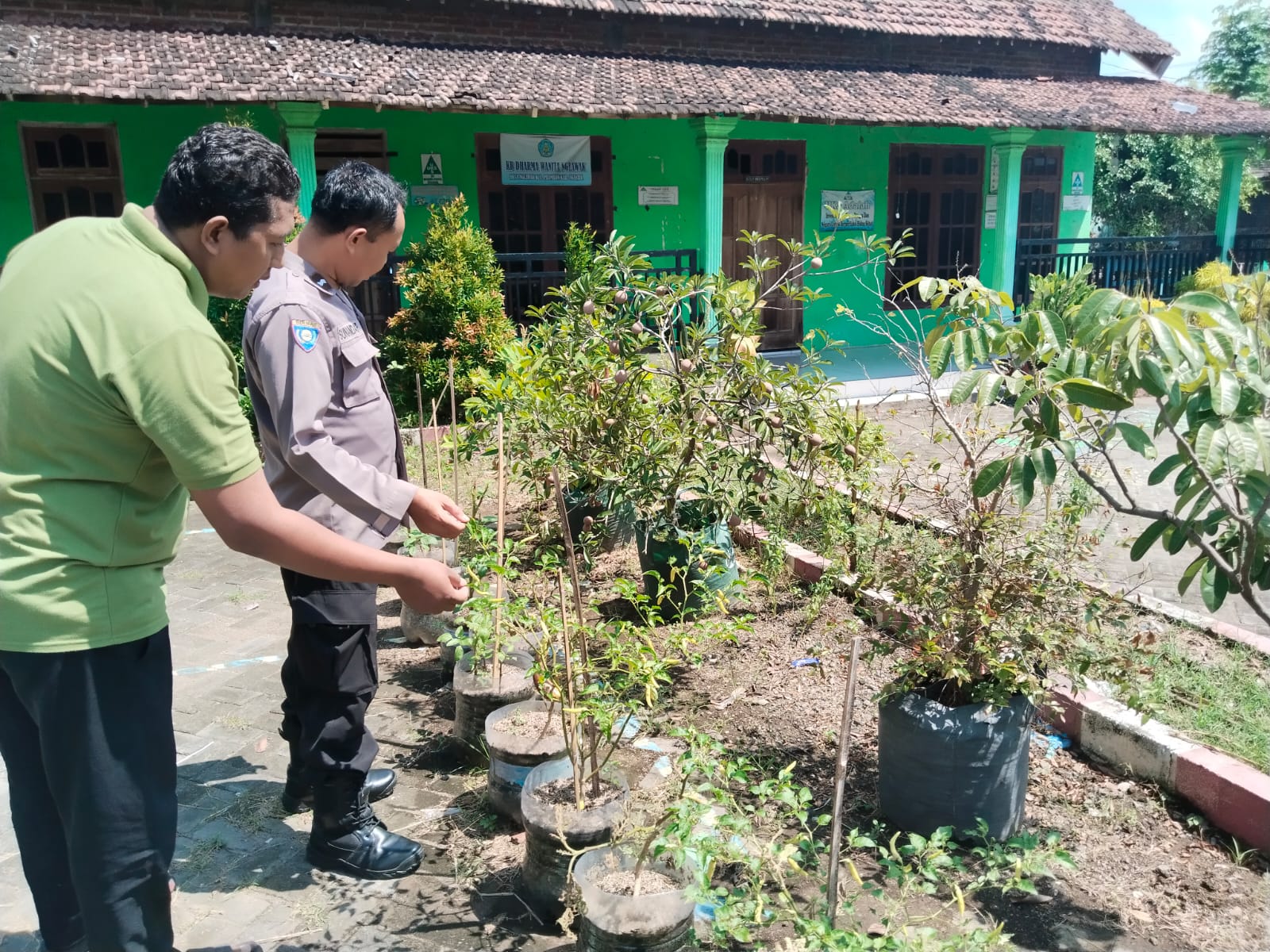 Pekarangan Jadi Sumber Pangan Keluarga, Bhabinkamtibmas Nglawak Pantau P2B Warga