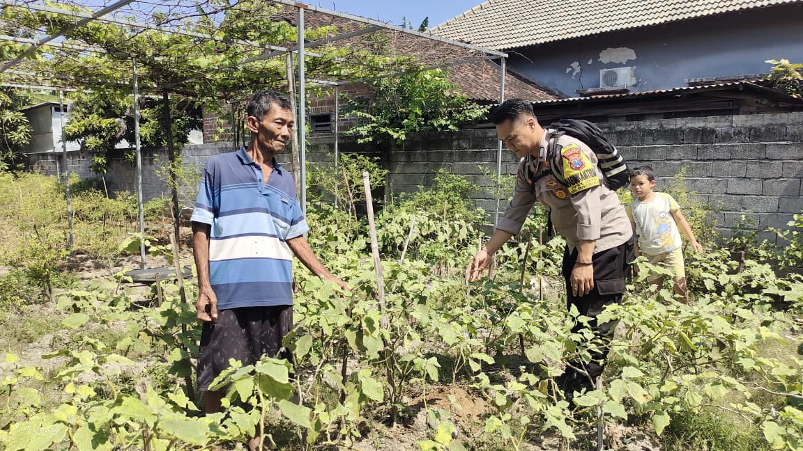 Bhabinkamtibmas Desa Getas Tinjau P2B, Dukung Ketahanan Pangan dan Peningkatan Ekonomi Warga