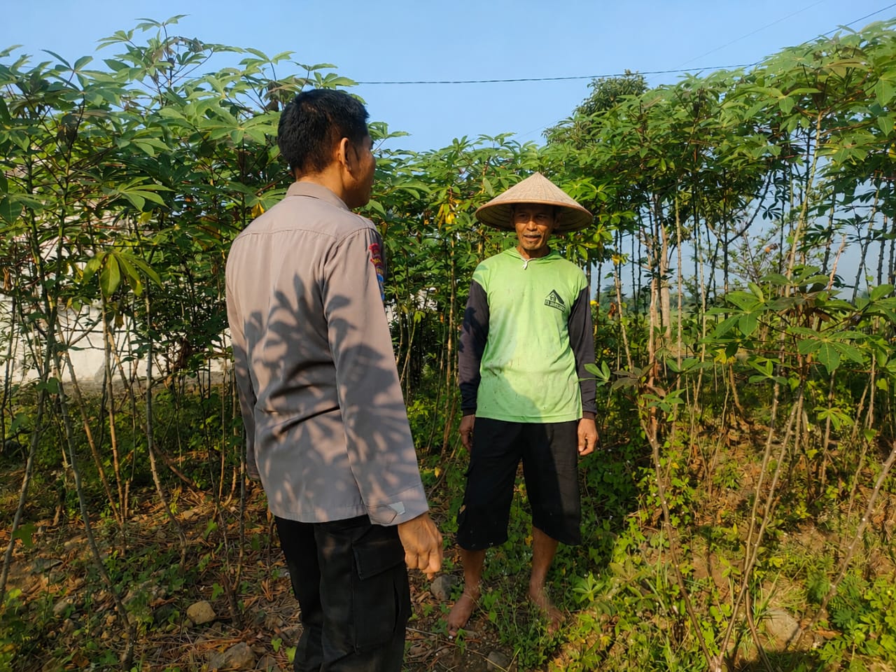 Manfaatkan Musim Kemarau, Bhabinkamtibmas Bungur Pantau Budidaya Terong di Lahan Persawahan
