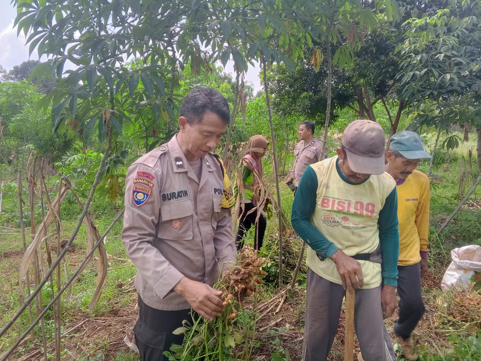 Singkong, Perikanan hingga Peternakan, Bhabinkamtibmas Desa Duren Kawal P2B Terpadu