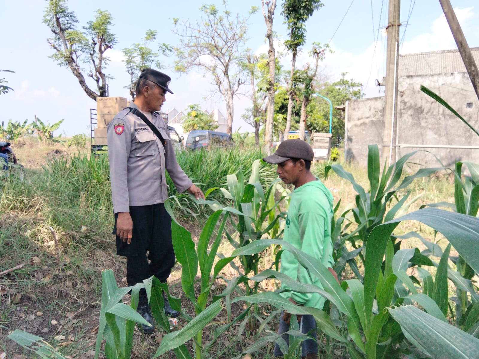 Pantau Lahan Jagung, Anggota Polsek Wilangan Sekaligus Ingatkan Petani Gunakan Kunci Ganda