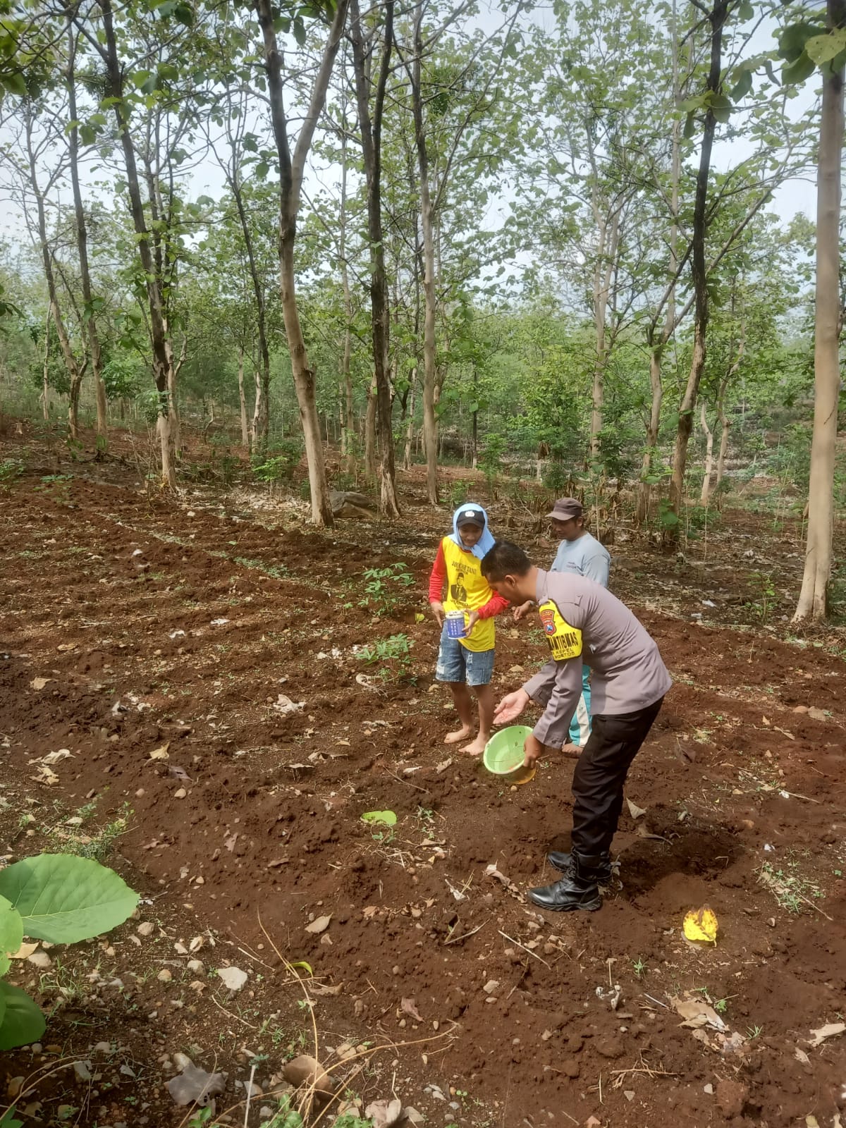 Awali Musim Tanam Jagung, Bhabinkamtibmas Desa Kepel Dampingi Petani Wujudkan Ketahanan Pangan