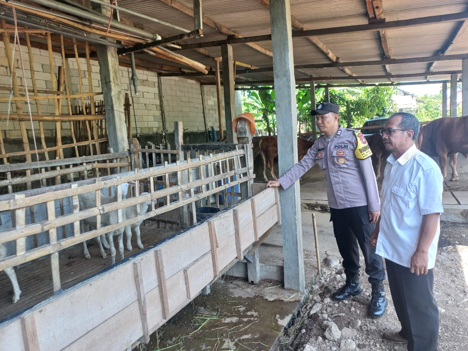 Kambing, Perikanan hingga Jeruk Lemon, Bhabinkamtibmas Sugihwaras Pantau P2B Terpadu