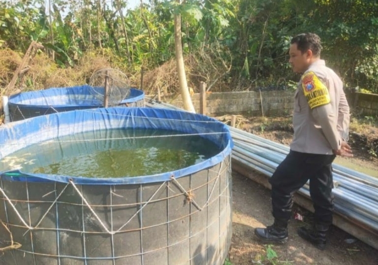 Bayam dan Kolam Terpal Jadi Andalan, Bhabinkamtibmas Selorejo Dukung Ketahanan Pangan