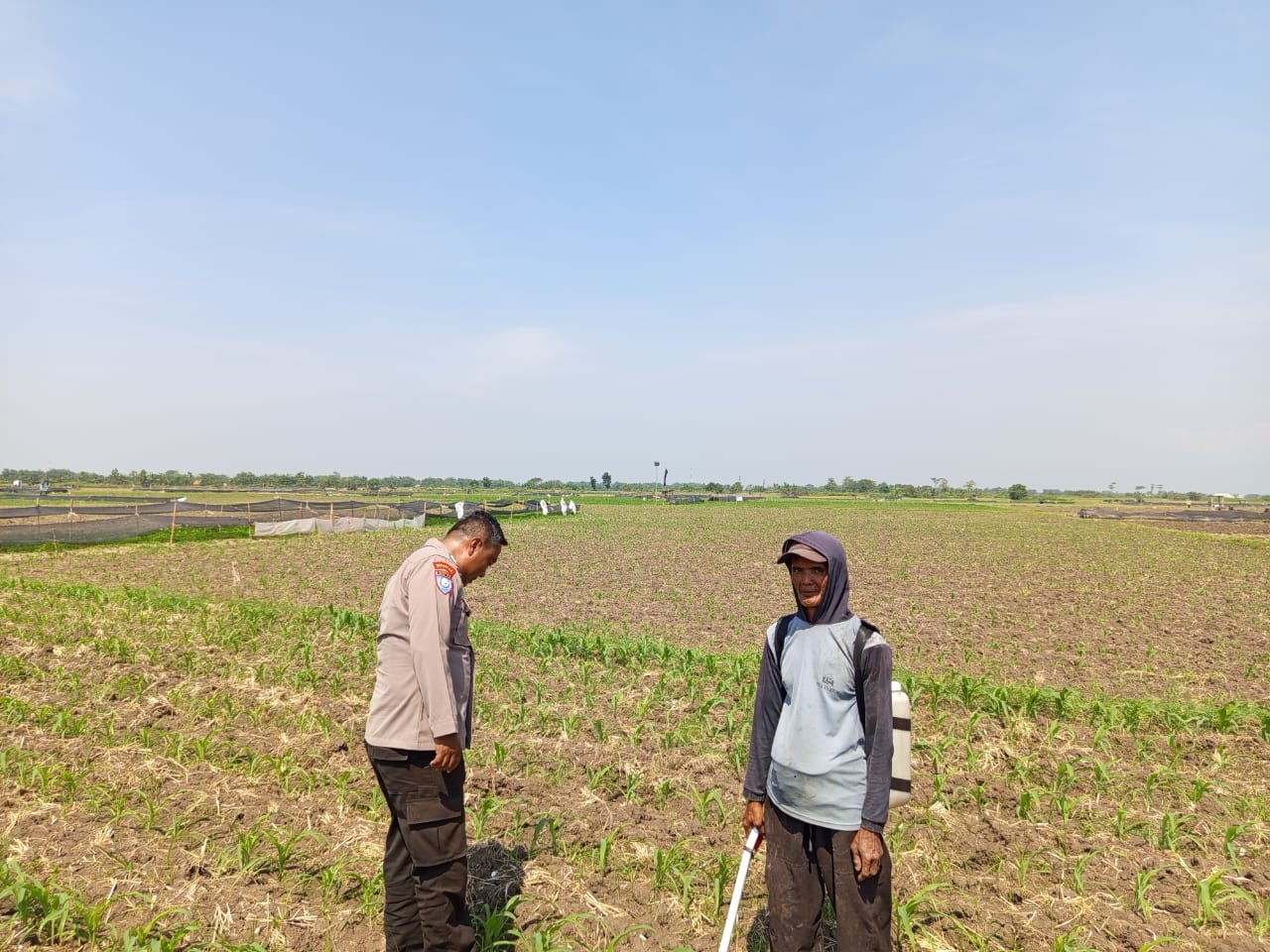 Pantau Jagung dan Ketersediaan Air, Bhabinkamtibmas Desa Lestari Dukung Ketahanan Pangan