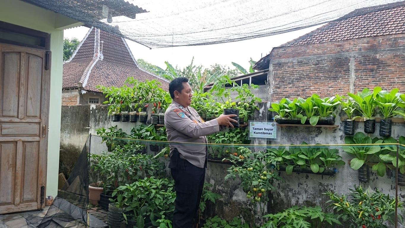 Vertikultur Jadi Andalan Lahan Sempit, Bhabinkamtibmas Watudandang Dukung Ketahanan Pangan