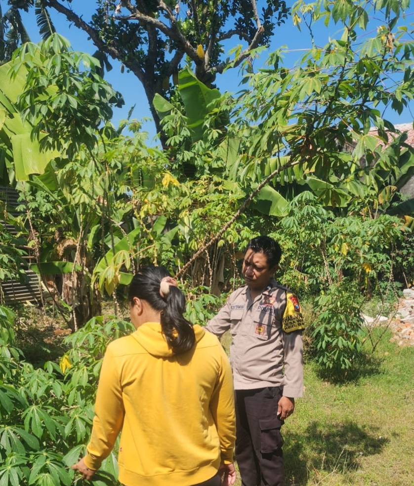 Singkong Jadi Andalan Pekarangan, Bhabinkamtibmas Desa Waung Dukung Ketahanan Pangan