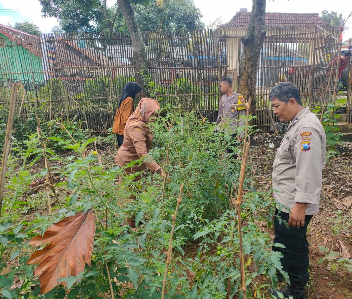 Kanit Binmas Polsek Ngetos Pantau Pekarangan Pangan Bergizi Berisi Cabai, Tomat, dan Bumbu Dapur