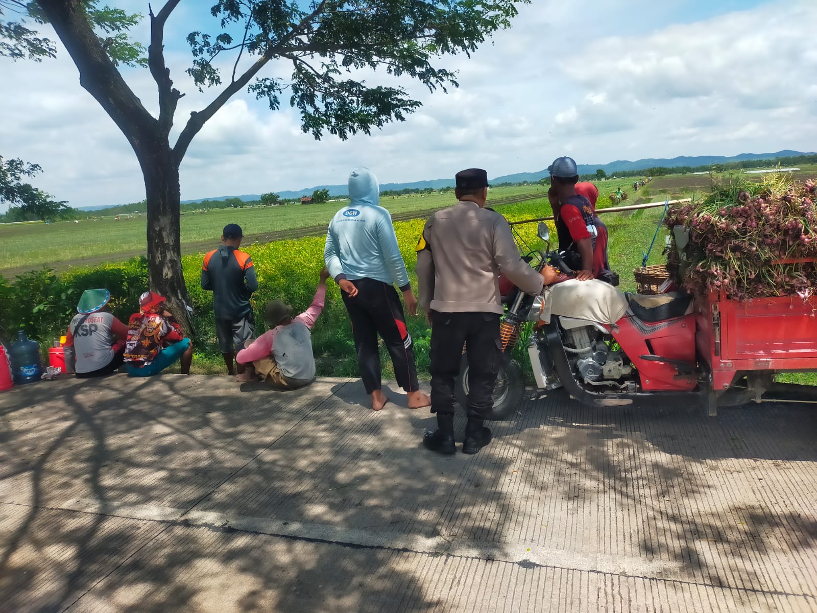 Kanit Binmas Polsek Gondang Pantau Lahan Jagung dan Berikan Edukasi kepada Petani