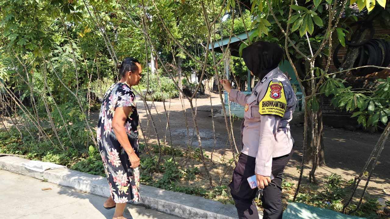 Bhabinkamtibmas Desa Kampungbaru Pantau Pekarangan Singkong Dukung Ketahanan Pangan Nasional