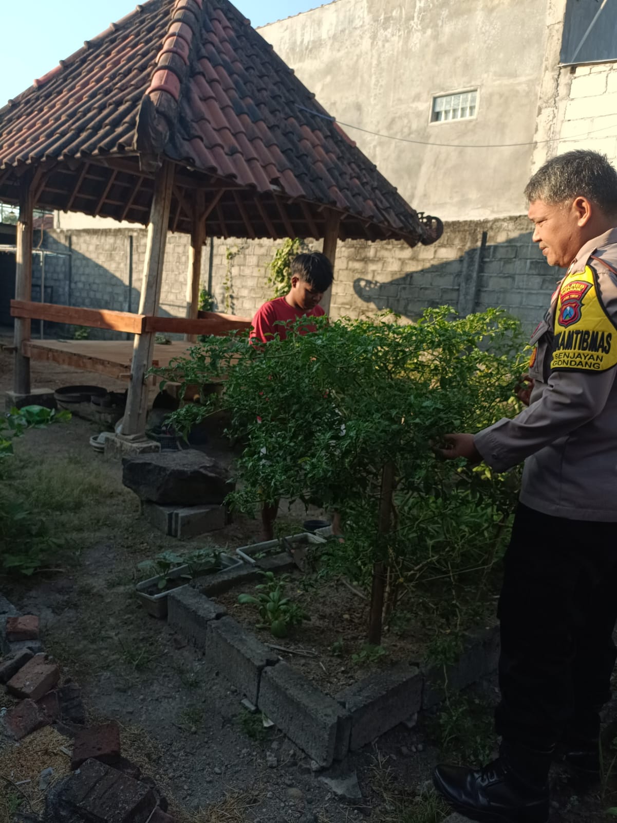 Manfaatkan Lahan Sela, Bhabinkamtibmas Desa Senjayan Dorong Budidaya Cabai