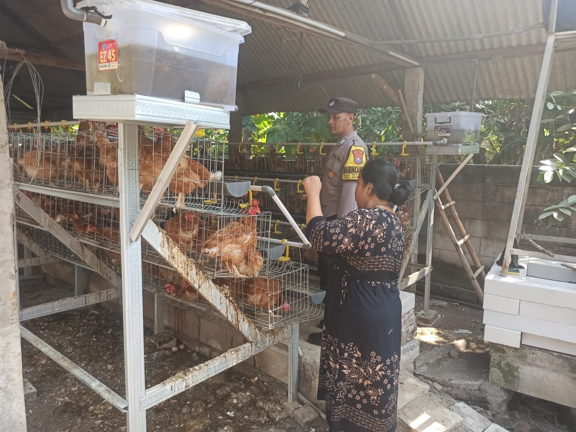 Pantau Kandang Ayam, Bhabinkamtibmas Tirtobinangun Ajak Warga Sukseskan Ketahanan Pangan Nasional