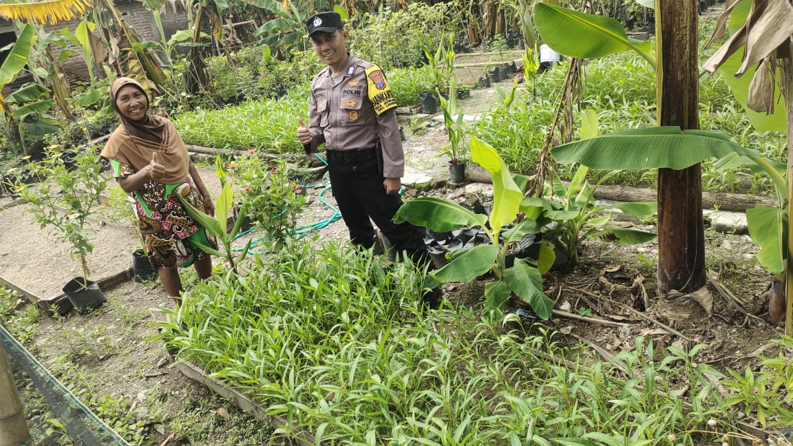 Dari Belasan Polybag Jadi Ratusan, Bhabinkamtibmas Jatipunggur Apresiasi Semangat Warga Kelola Pekarangan Pangan Bergizi