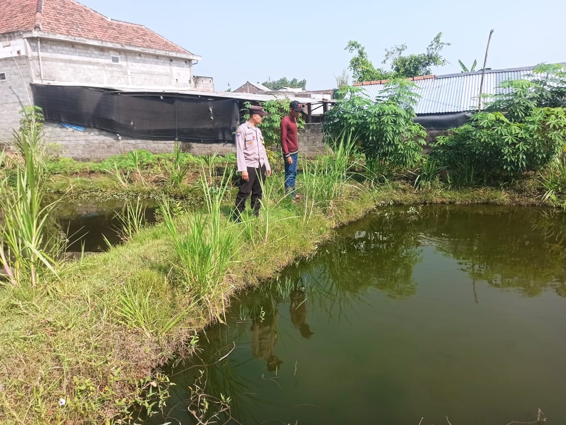 Bhabinkamtibmas Desa Tirtobinangun Pantau Budidaya Ikan Nila Dukung Ketahanan Pangan