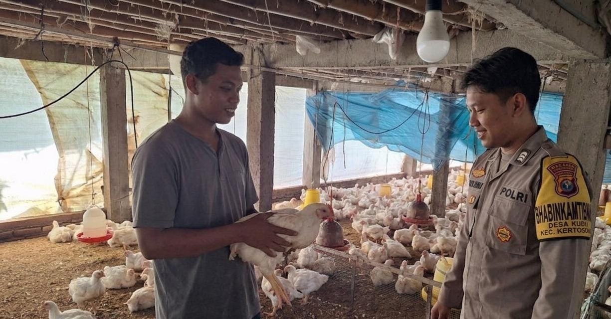 Bhabinkamtibmas Desa Kudu Pantau Pekarangan Pangan Bergizi untuk Ternak Ayam Pedaging