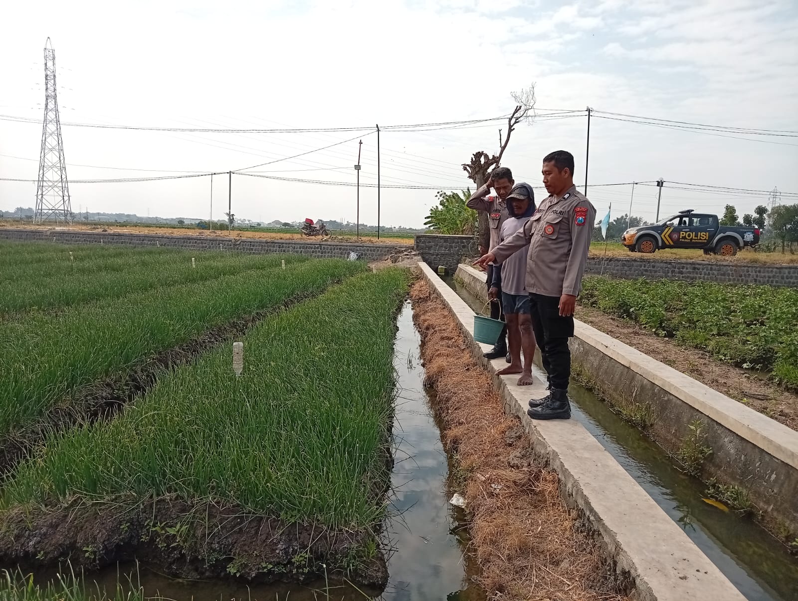 Air Lancar, Bawang Merah Aman, Petani Pun Tenang