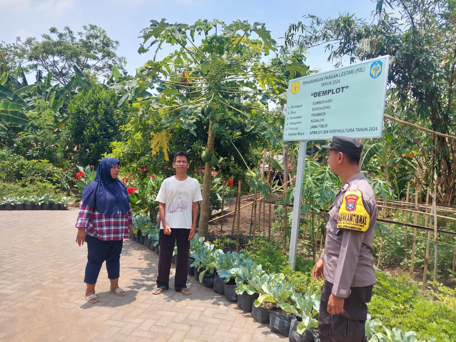 Bhabinkamtibmas Desa Sonoageng Pantau Pekarangan Pangan Lestari Demplot Dukung Ketahanan Pangan