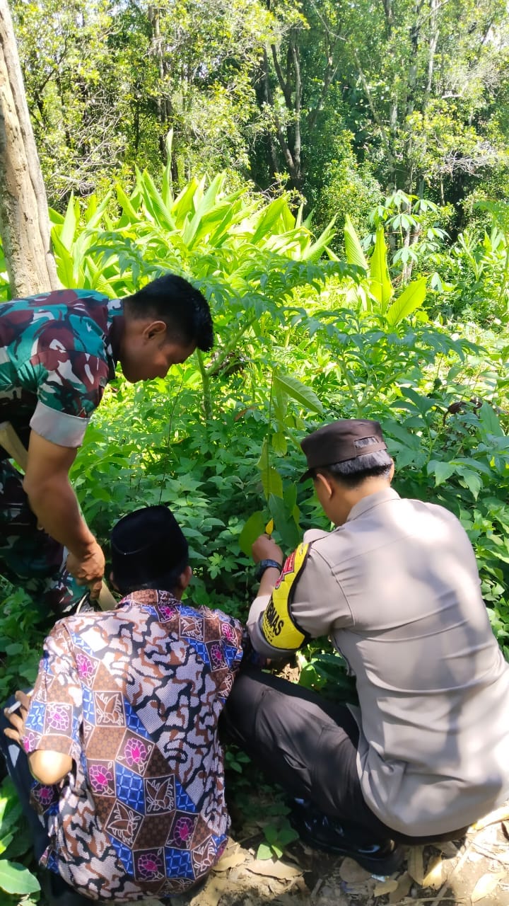 Semangat Kemerdekaan, Bhabinkamtibmas, Pelajar dan Petani Kompak Wujudkan Ketahanan Pangan