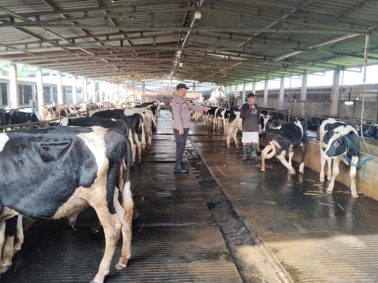 Tak Sekadar Sambang, Bhabin Baleturi Keliling Cek Ketahanan Pangan Warga