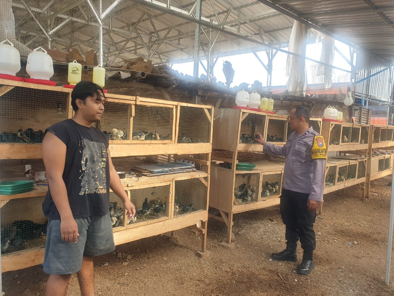 Kandang Rapi, Telur Berkualitas: Bhabinkamtibmas Pastikan Peternakan Ayam Warga Tetap Aman