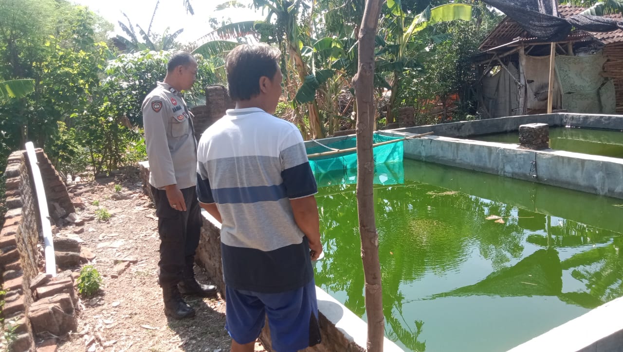 Pakan Makin Mahal, Bhabinkamtibmas Tampung Keluhan Peternak Lele di Gondang