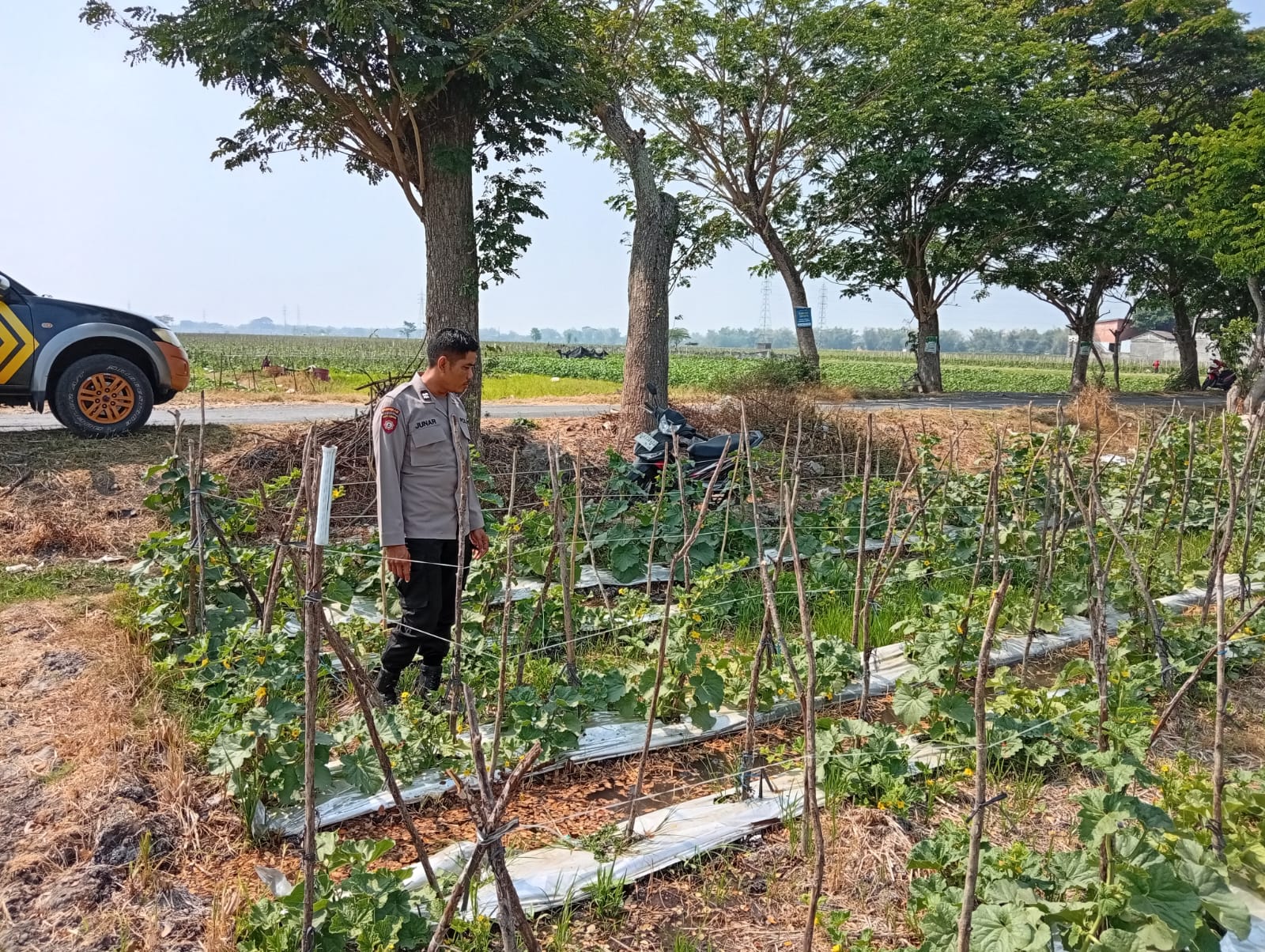 Melon Jadi Pilihan Petani, Polsek Sukomoro Dorong Ketahanan Pangan dan Gizi Anak Sekolah