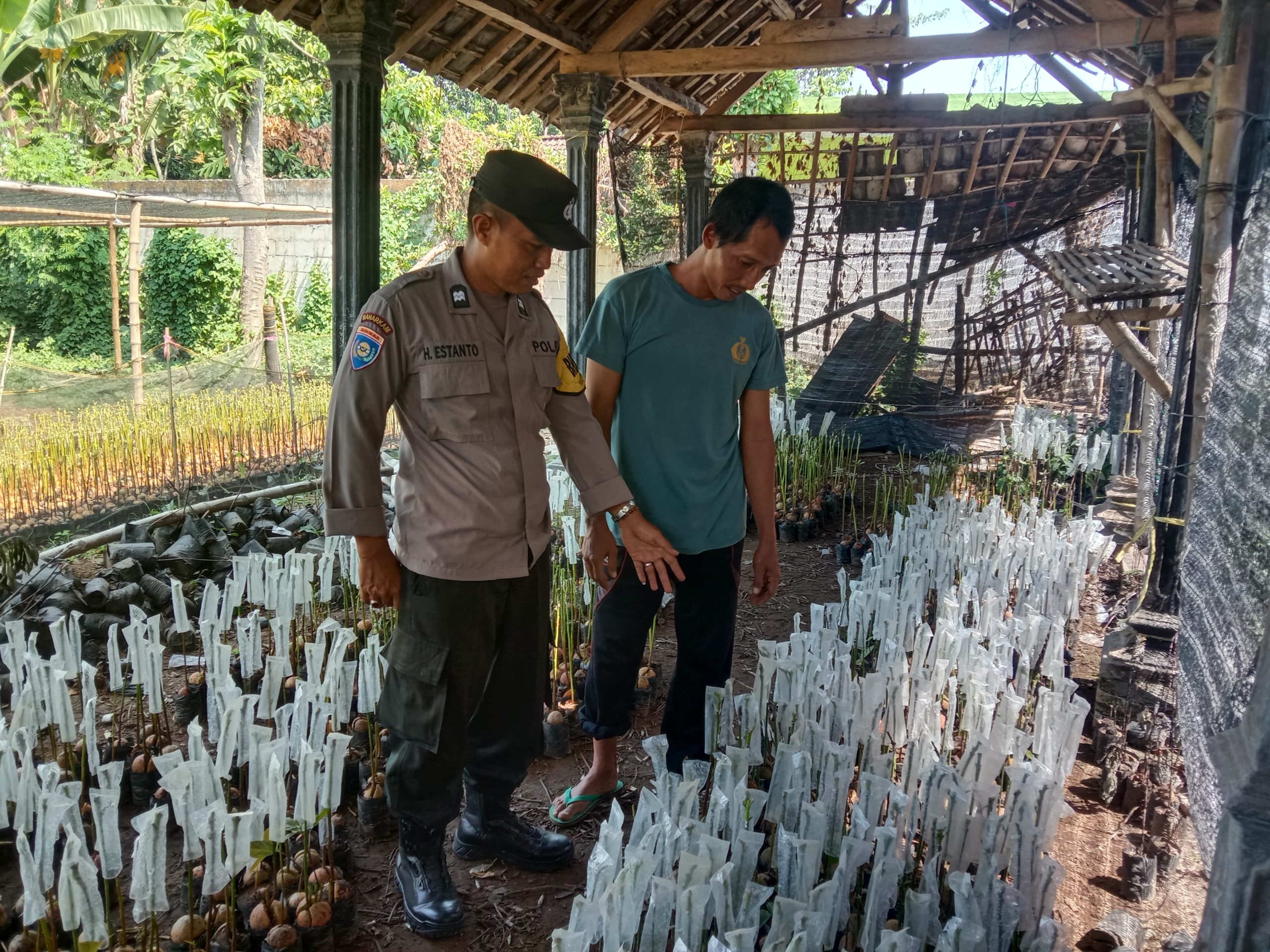 Sambang Petani, Bhabinkamtibmas Polsek Ngronggot Dorong Pembibitan untuk Perkuat Ketahanan Pangan Nasional