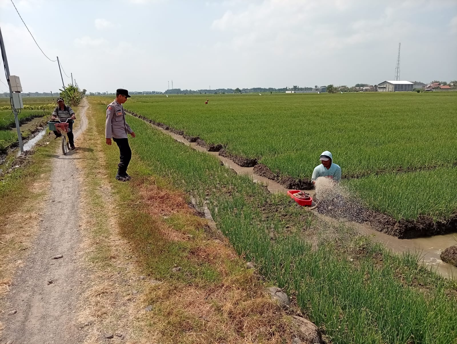 Patroli Persawahan, Bhabinkamtibmas Polsek Sukomoro Kawal Petani Bawang Merah Dukung Ketahanan Pangan dari Desa