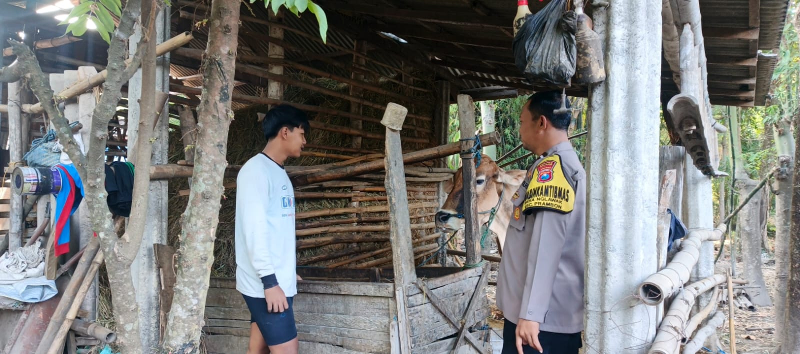 Lahan Sempit Bukan Halangan, Bhabinkamtibmas Prambon Dorong Warga Wujudkan Ketahanan Pangan