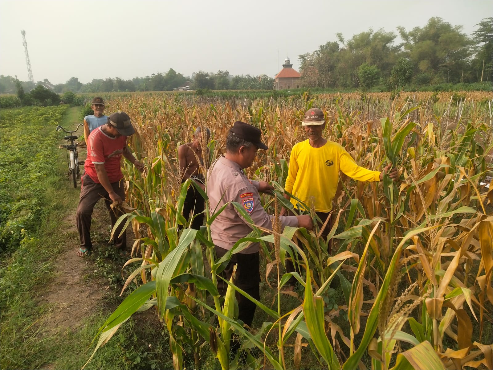 Bukan Sekadar Patroli, Bhabinkamtibmas Ngronggot Turun Langsung Dukung Ketahanan Pangan Warga