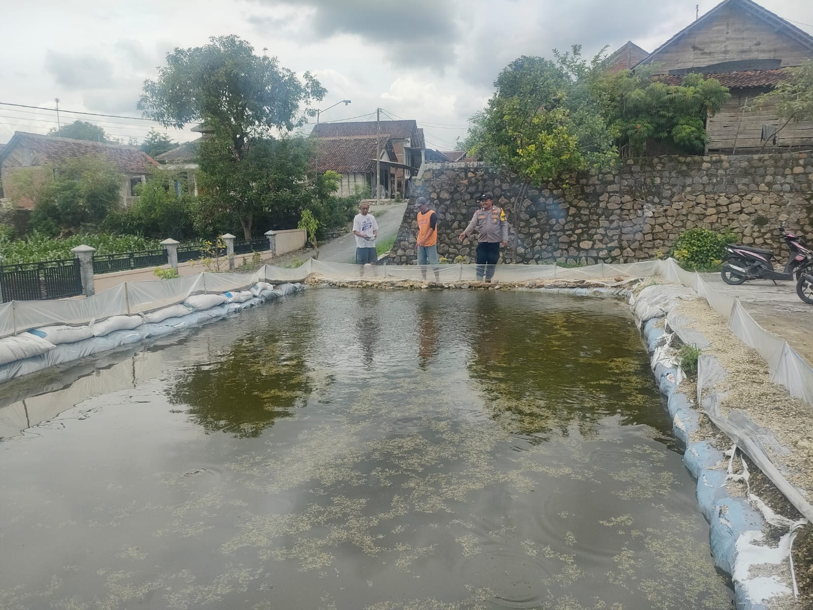 Kolam Terpal di Depan Rumah, Warga Tempuran Mulai “Panen” Ketahanan Pangan
