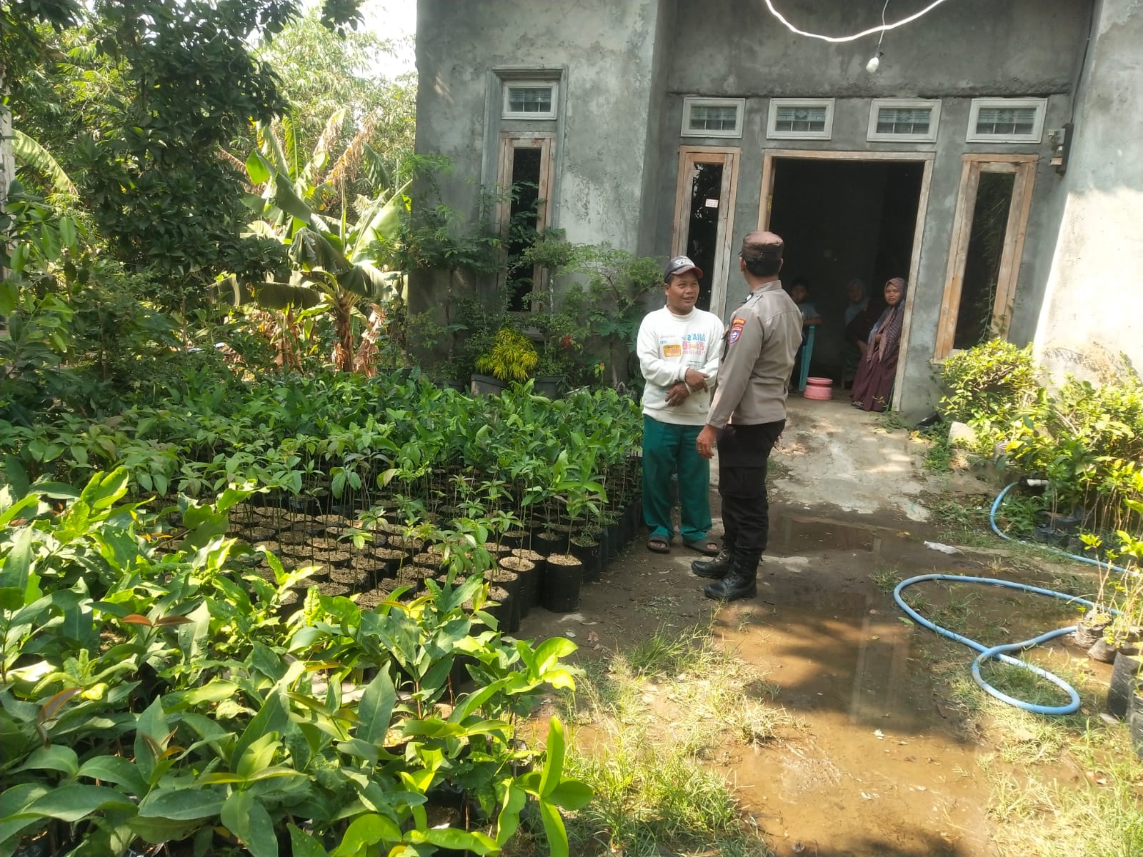 MERAWAT HARAPAN DARI DESA, BHABINKAMTIBMAS NGRONGGOT DUKUNG USAHA PEMBIBITAN BUAH