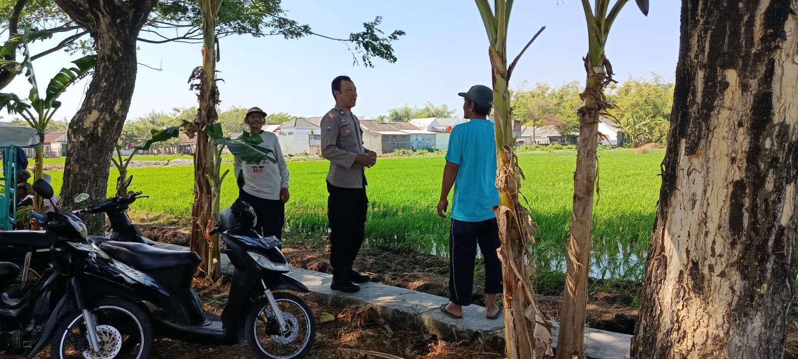 Bhabinkamtibmas Polsek Nganjuk Kota Sambangi Petani, Cek Perkembangan Lahan Pertanian