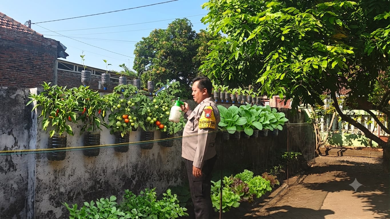 Dari Kebun Rumah, Jarot Tebar Semangat Ketahanan Pangan
