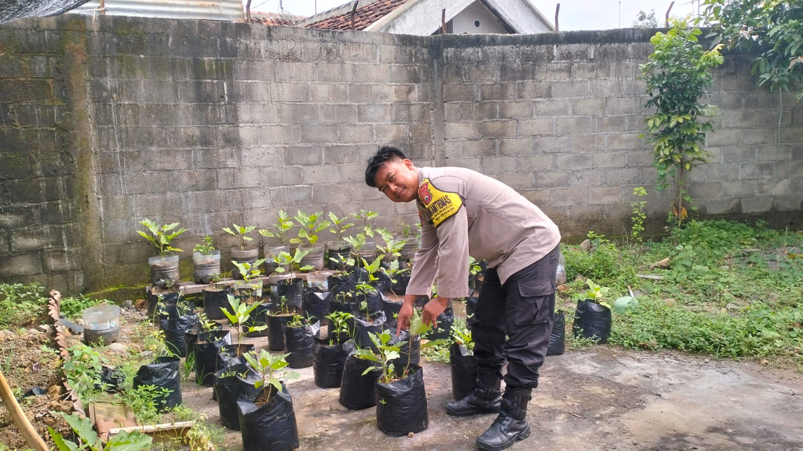 Dari Pembibitan Sederhana, Menumbuhkan Semangat Ketahanan Pangan Nasional