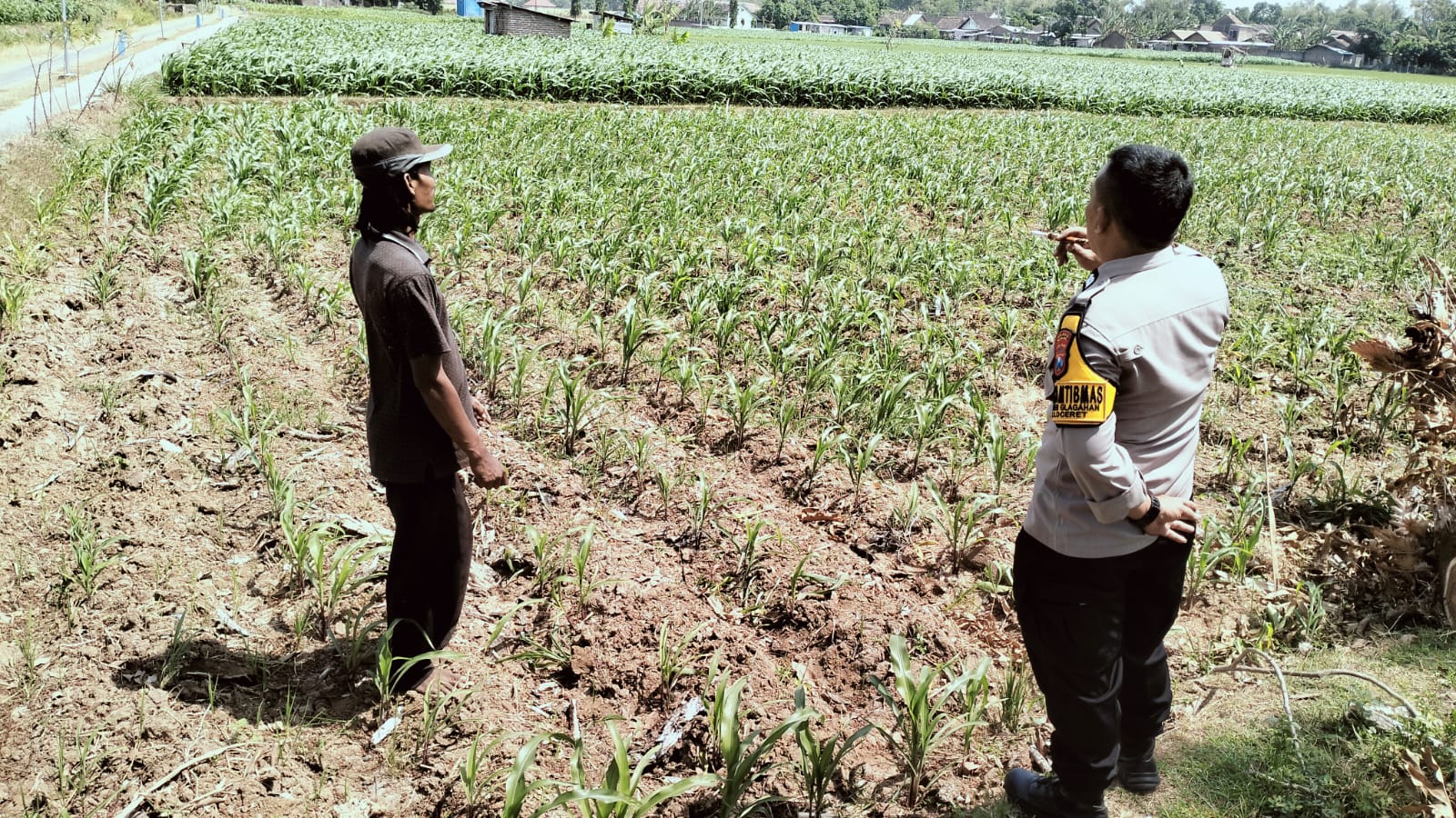 Pastikan Irigasi Lancar, Bhabinkamtibmas Tekenglagahan Dukung Ketahanan Pangan