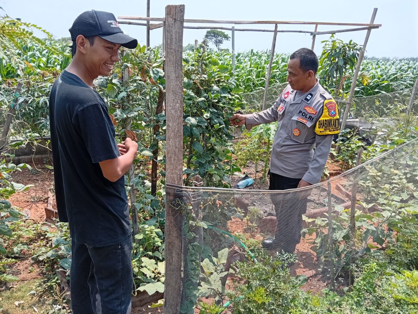 Bhabinkamtibmas Dorong Warga Pehserut Perkuat Ketahanan Pangan dari Pekarangan Rumah