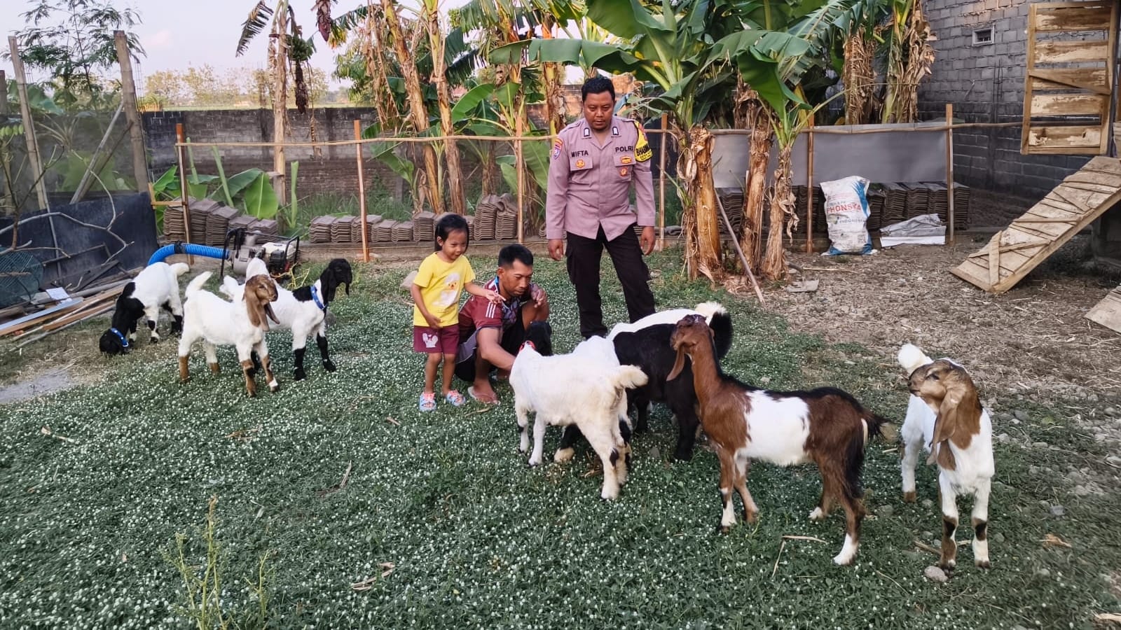 Kandang Bersih Serasa Taman, Bhabinkamtibmas Dorong Warga Kembangkan Peternakan