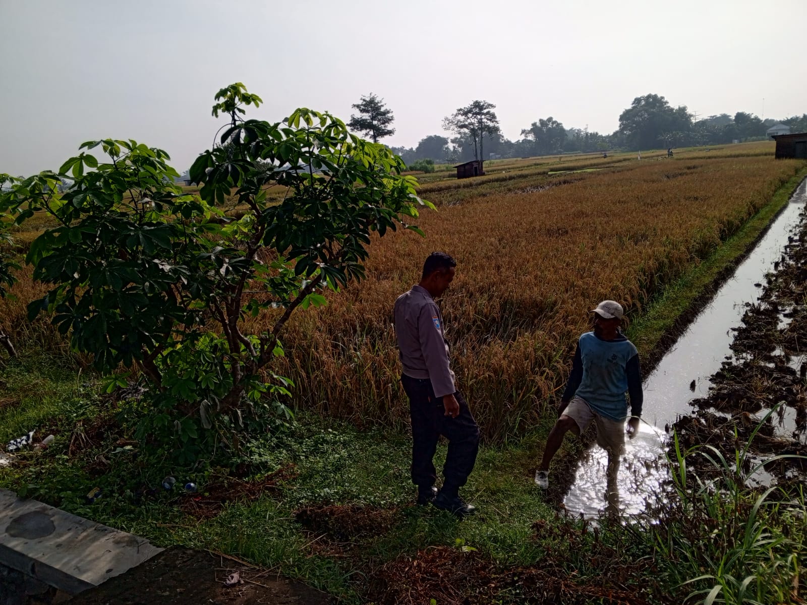 Bhabinkamtibmas Tiripan Sambangi Petani, Perkuat Sinergi dan Ketahanan Pangan 