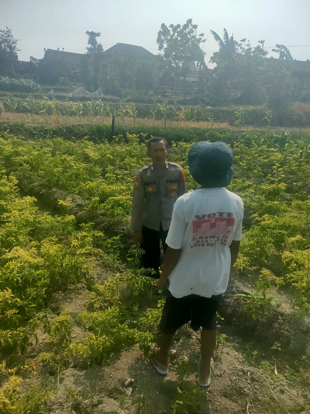 Sambangi Petani Cabai, Bhabinkamtibmas Bajang Dukung Ketahanan Pangan di Musim Kemarau